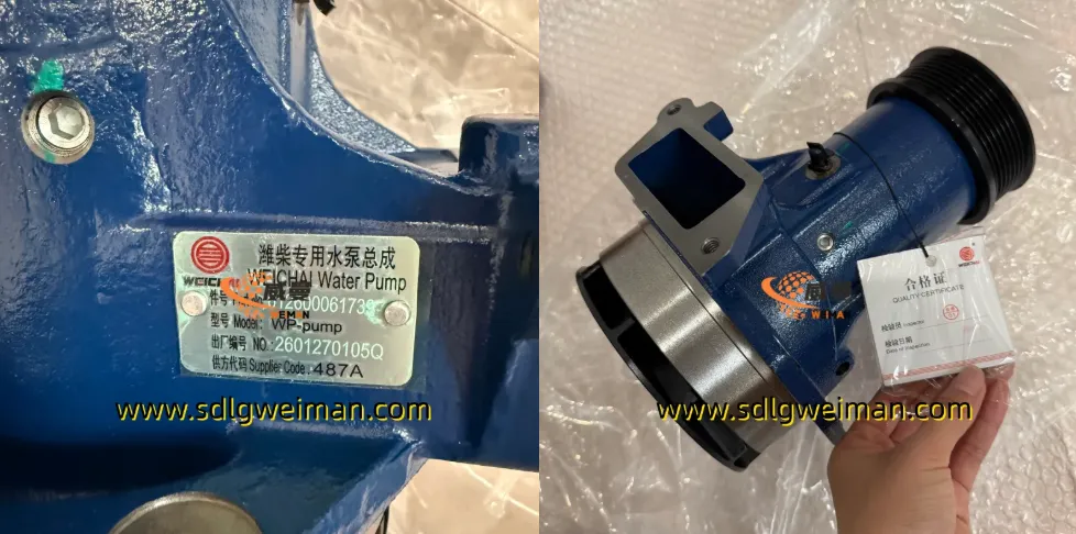 QQ_1783664269144.png