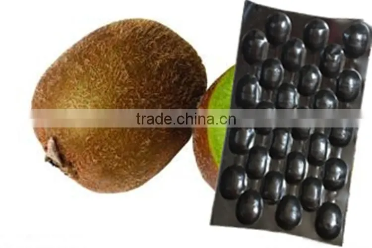 Fruit Plastic Packaging Tray Customized Strawberry Heart Strawberry Tray