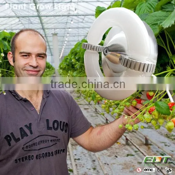 induction grow light source and grow light stand