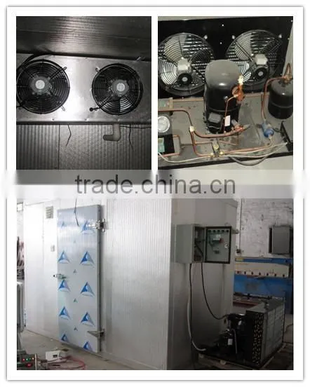 Vegetables cold room storage for restaurant