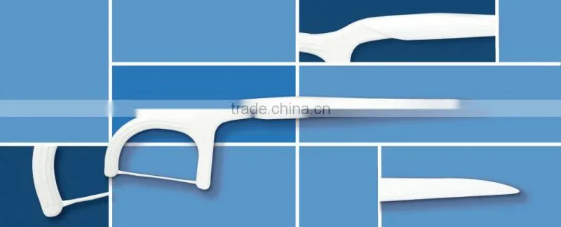 Oral Care professional floss pick toothpicks