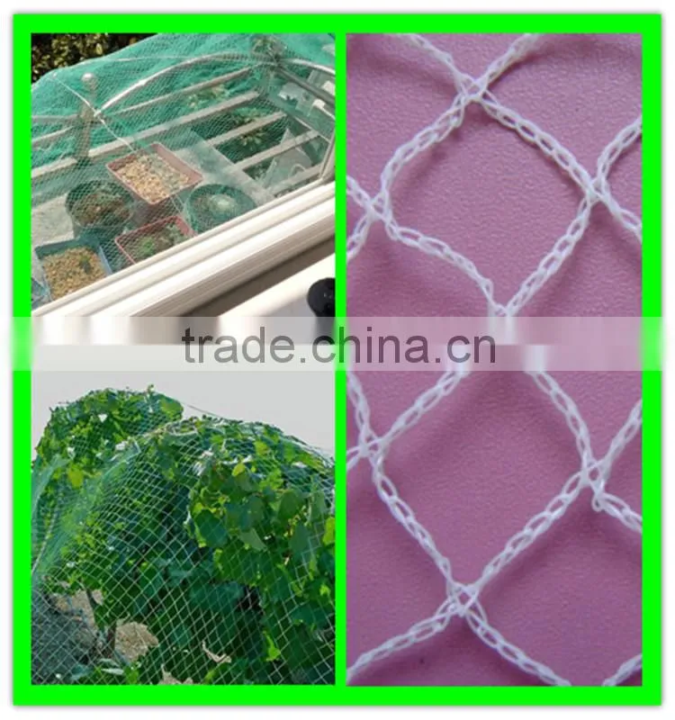High quality garden used white anti bird net from Henan