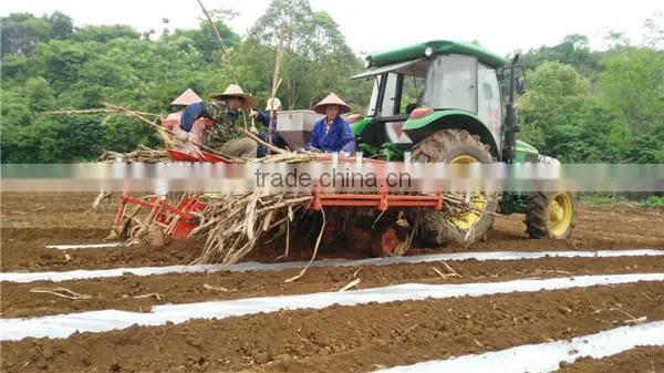 new generation machine for 2 rows sugarcane planting factory provide sugarcane planting machine