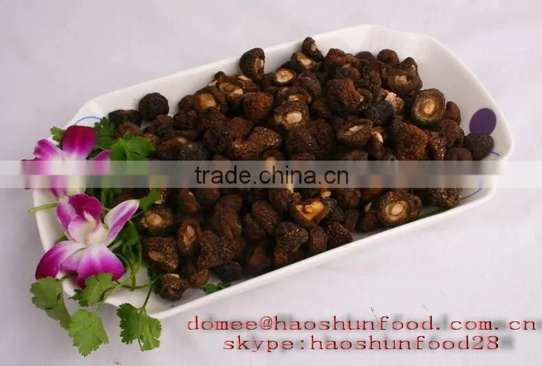 Canned Shiitake mushroom HACCP Approval