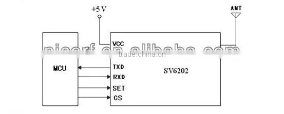 2W High power wireless module SV6202