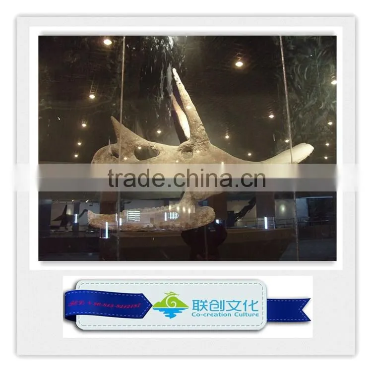 Life size dinosaur head fossils for sale