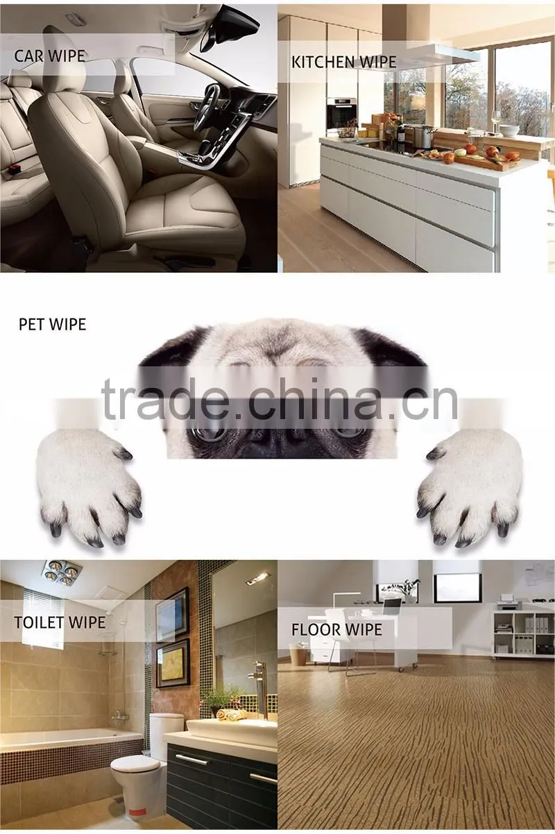 Effective Convenient Professional Popular Toilet Cleaning Tissue