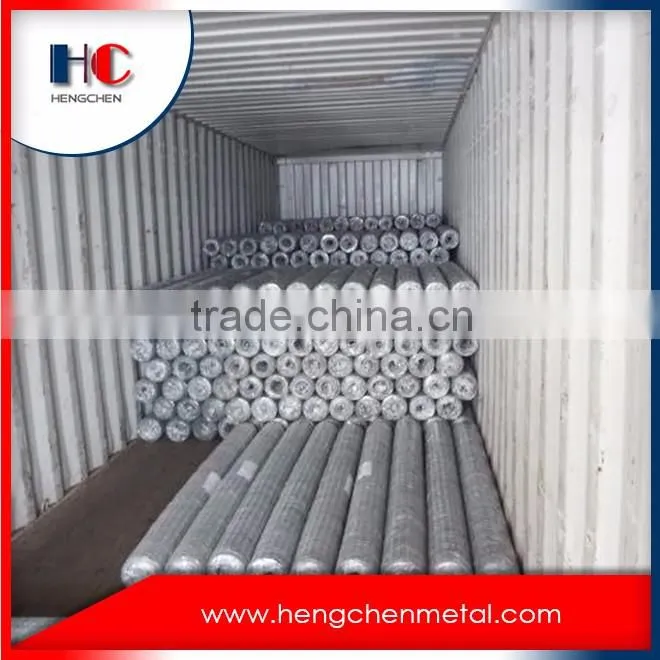 20 gauge hexagonal gabion wire mesh netting