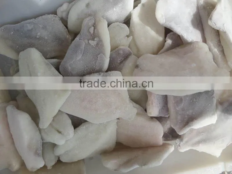 2016 new coming Frozen John Dory fillet for market