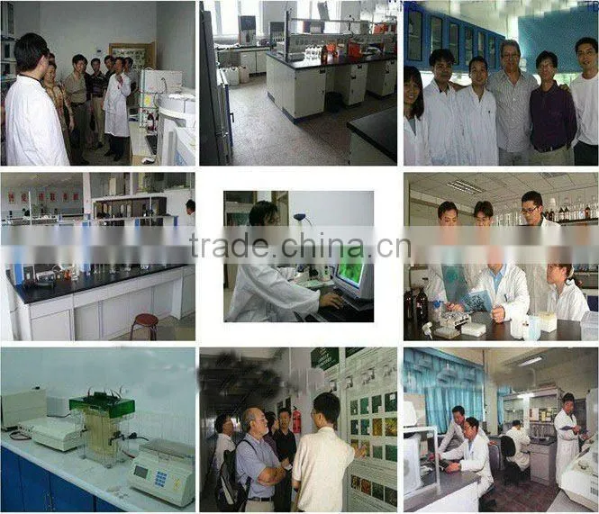 Chinese shandong new crop raw peanut kernels