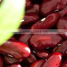 Dalian Jinshengxi International Trading Co., Ltd. company overview - view 1