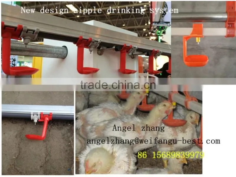 Automatic nipple drinking equipment for poultry shed