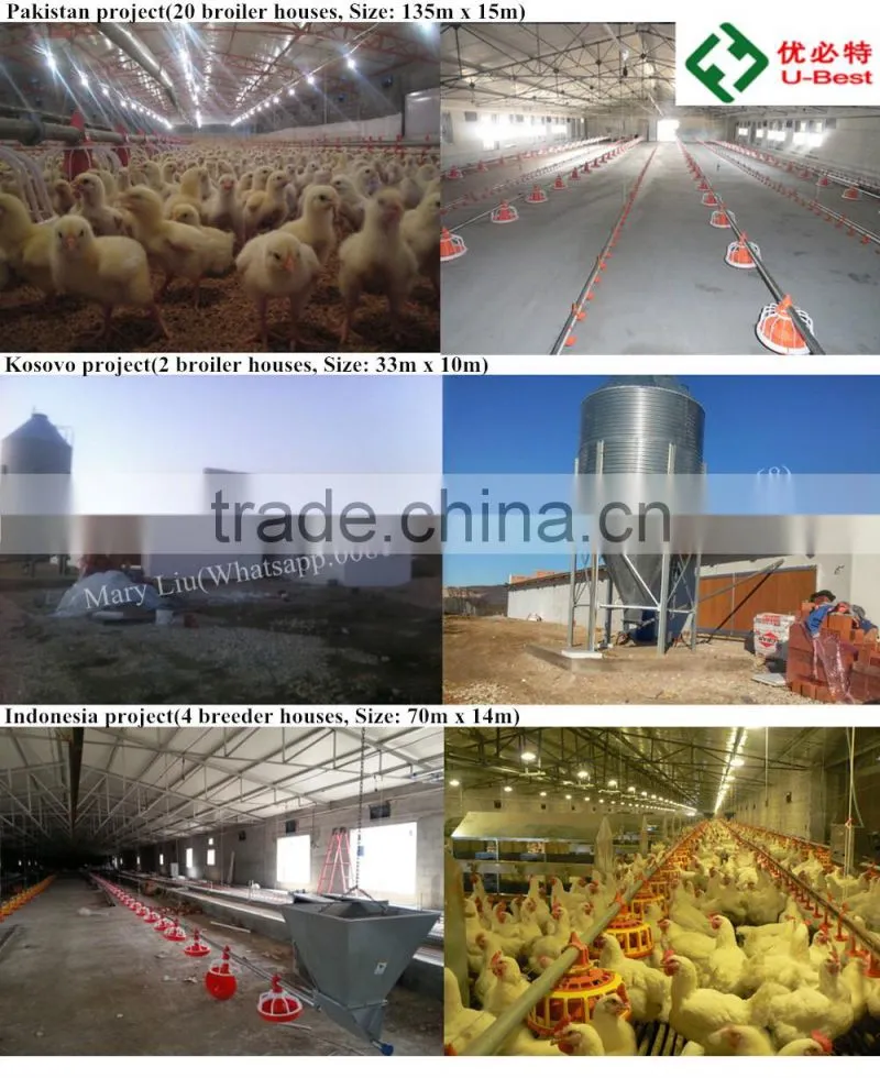 commercial steel structure poultry house/chicken farm/broiler shed