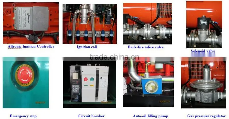 Biogas generator price with CHP
