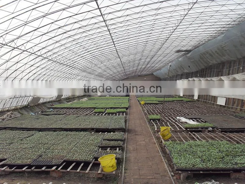 good quality vegetable tunnel greenhouse