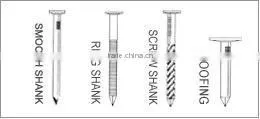 Bright Galvanized Steel Nails