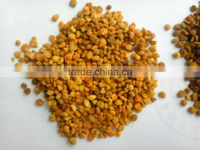 China best bee pollen manufacturer pirces