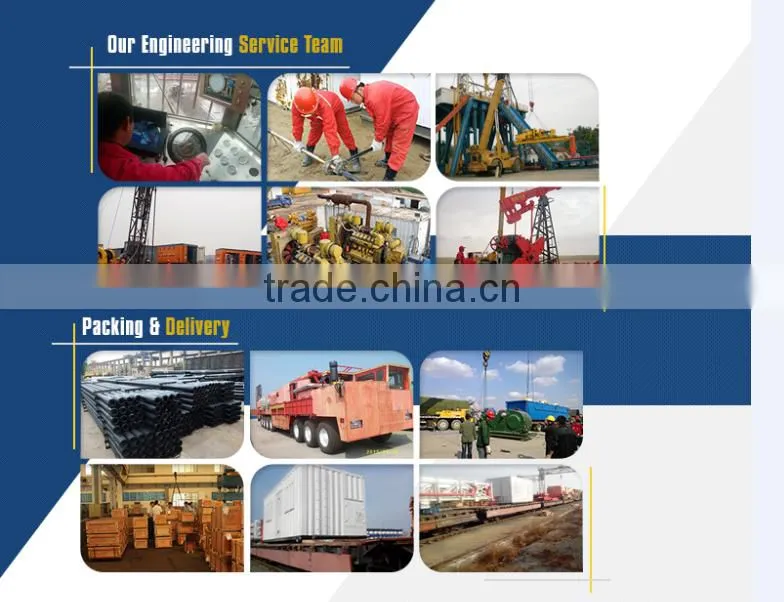 Annular Blowout Preventer(BOP Diverter) High Quality Cameron BOP Blind Shear Rams/ Rams for Blowout Preventer