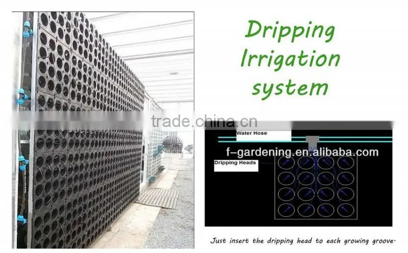 2016 new garden design hydroponic growing systems types of ornamental plants