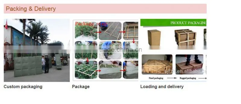 Artificial olive tree , large fake olive tree for sale