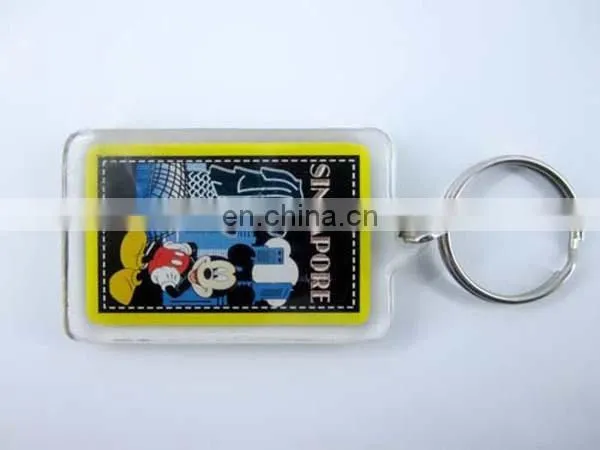 Oval shape custom card inserted Acrylic keychain