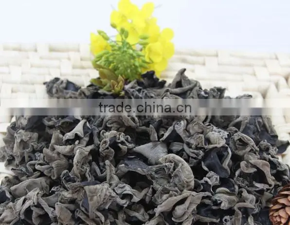 Black Fungus, Edible Fungus,muer