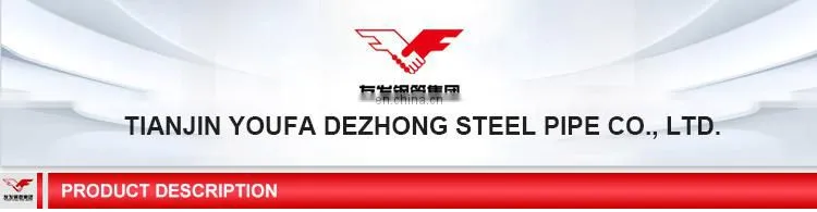 Hot Galvanized Steel Coil Hot Rolled Steel Coil for Sale