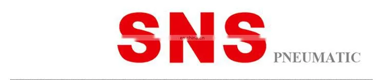 SNS CV Series One Way Nickel-Plated Brass Check Valve Non Return Valve