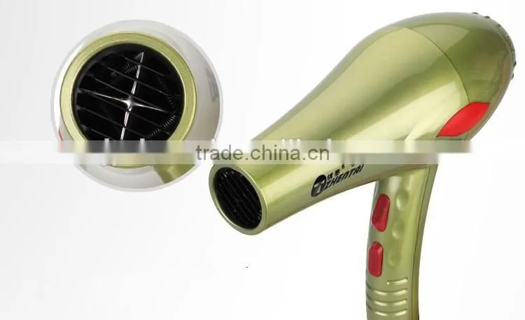 Ionic Professional Hair Dryer, 1200W to 2000W