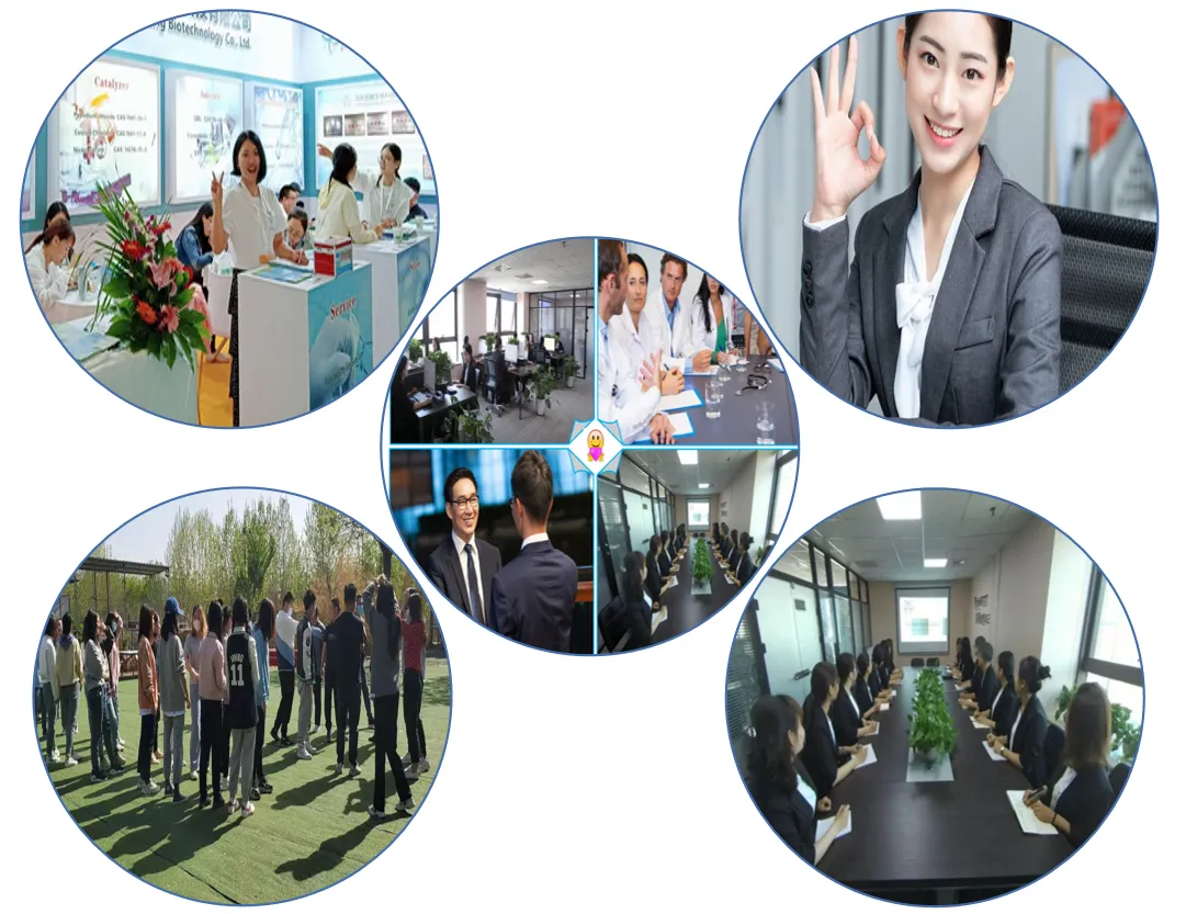 Qingdao Cemo Technology Develop Co.,Ltd. company overview - view 1