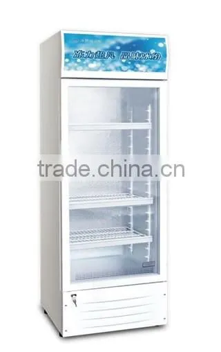 Supermarket equipment commercial refrigerator bottle cooler
