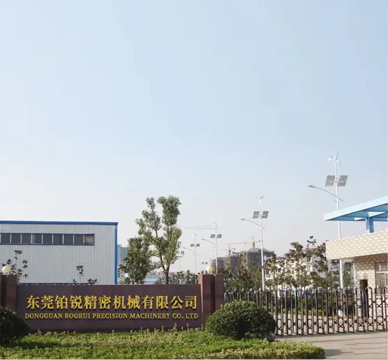 Dongguan Borui Precision Machinery Co., LTD company overview - view 1