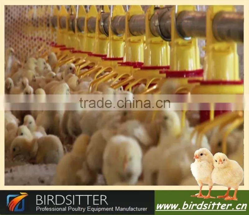 Ready Sale automatic chicken farm machinery for broiler and poutlry farm equiment