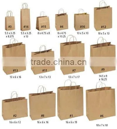 2011 Champagne Paper Bag