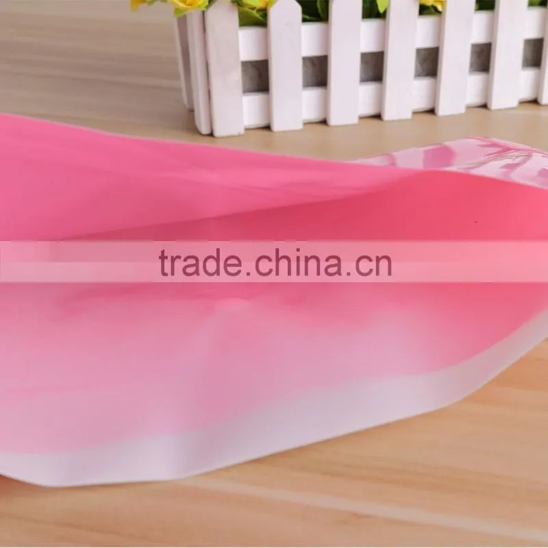 My clear bag customized A4/FC PP plastic vivid file bag document bag