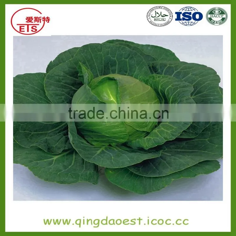 Bulk chinese cleaning broccoli