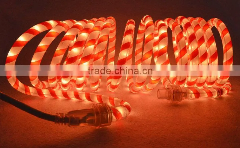 2015 New product christmas decoration rice rope light