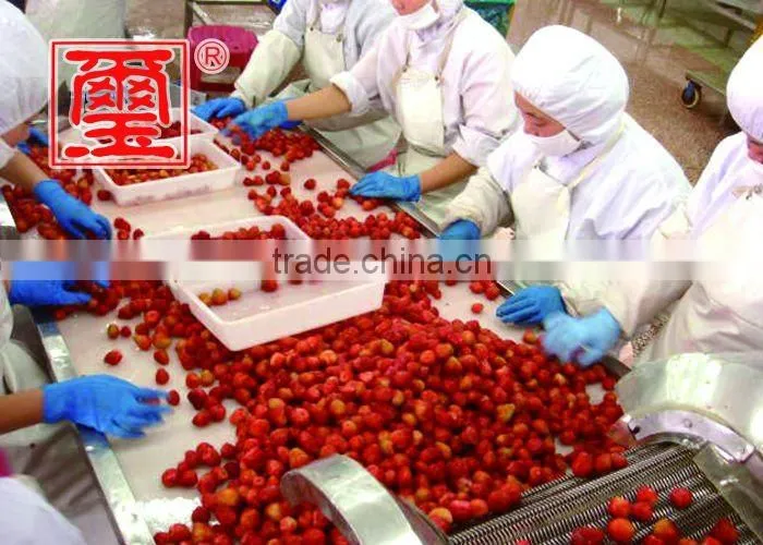 2016 top grade quality frozen strawberry