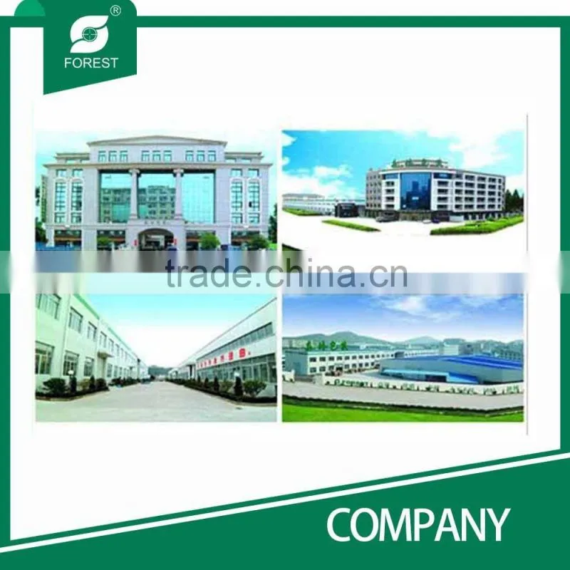 Fashion manufacturer various style paper bags
