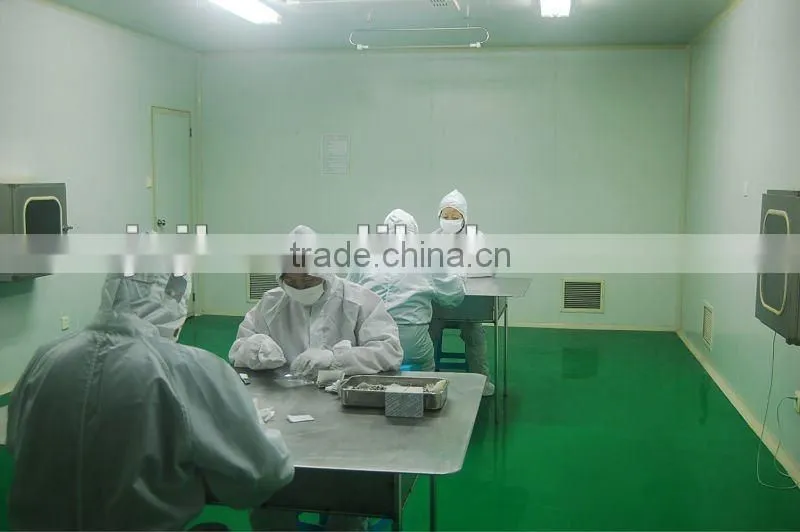Comentless Stem Total Hip Prothesis(Plastic Cap) (orthopaedic implant)