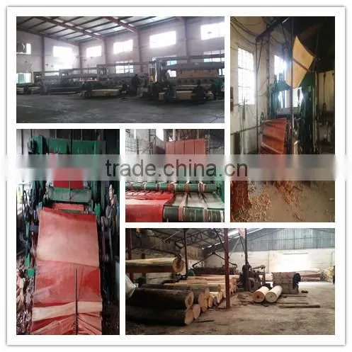 red Recon Veneer for India market
