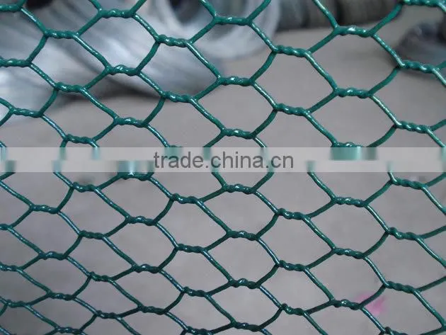 PVC coated Green Chicken Wire(factory)