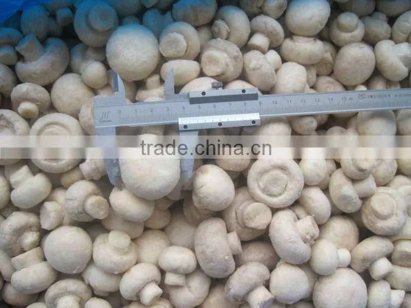 Frozen Champignon Mushroom Whole and Slices