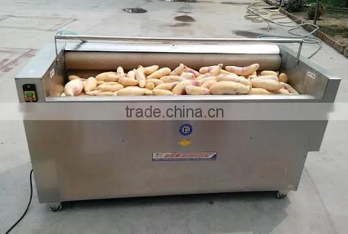 potato washing and peeling machine manufacturer