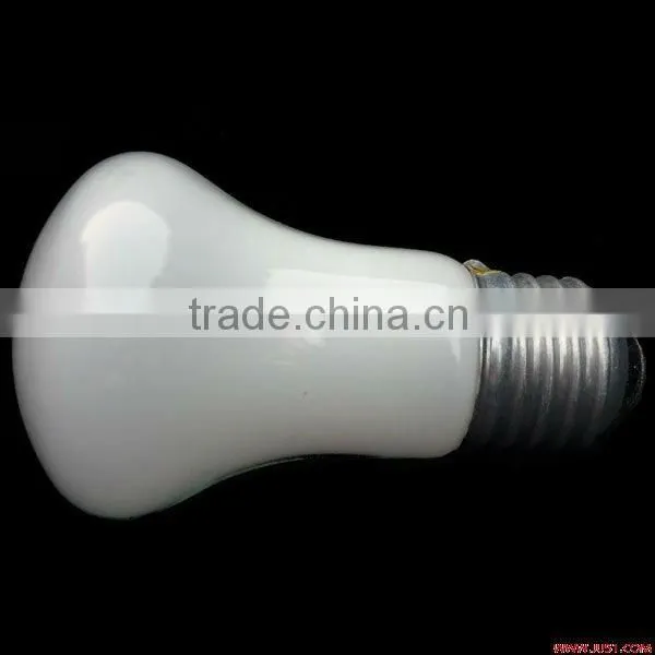 High quality Mushroom bulb