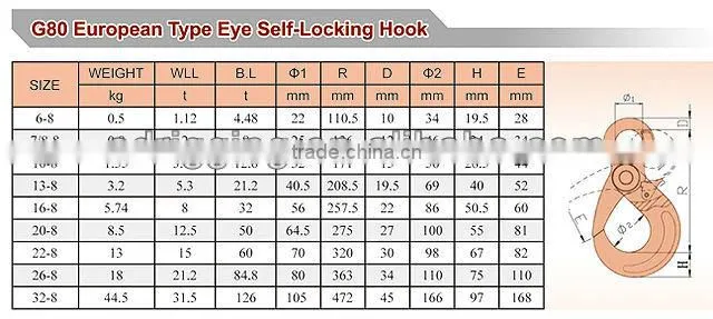 G80 European type eye self-locking hook