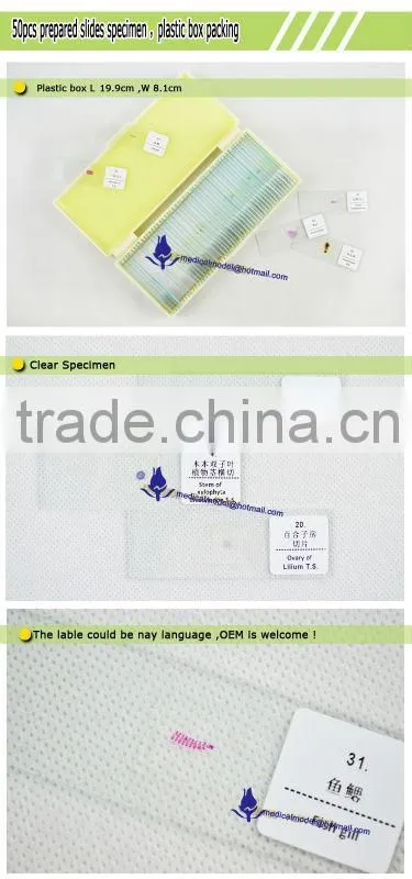 Microscope Slides Set Beginners slides set