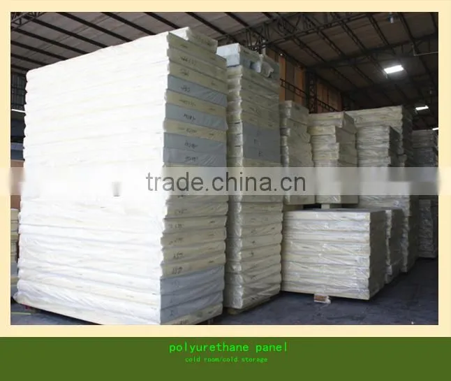new technology walk in freezer with polyurethane panel