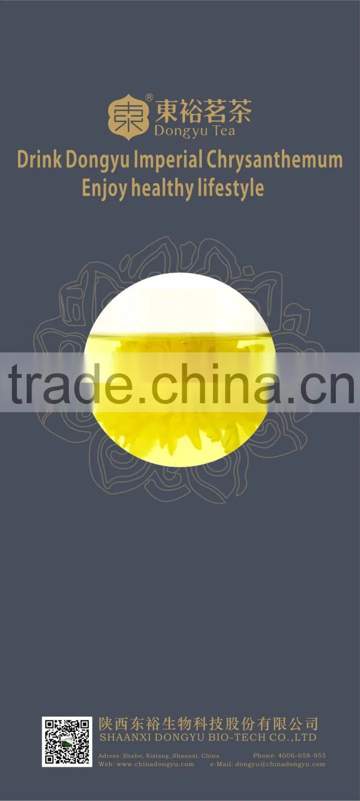 ancient Chinese medicine for herbal therapy and herbal remedy chrysanthemum