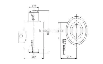 Digital scale sensor